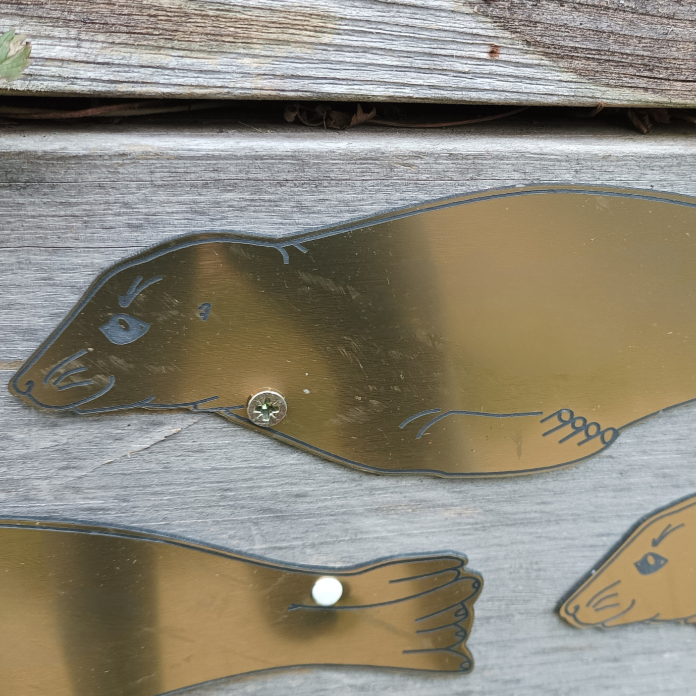 Seal Plaque