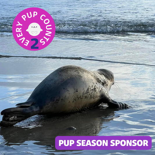 Pup Season Sponsor