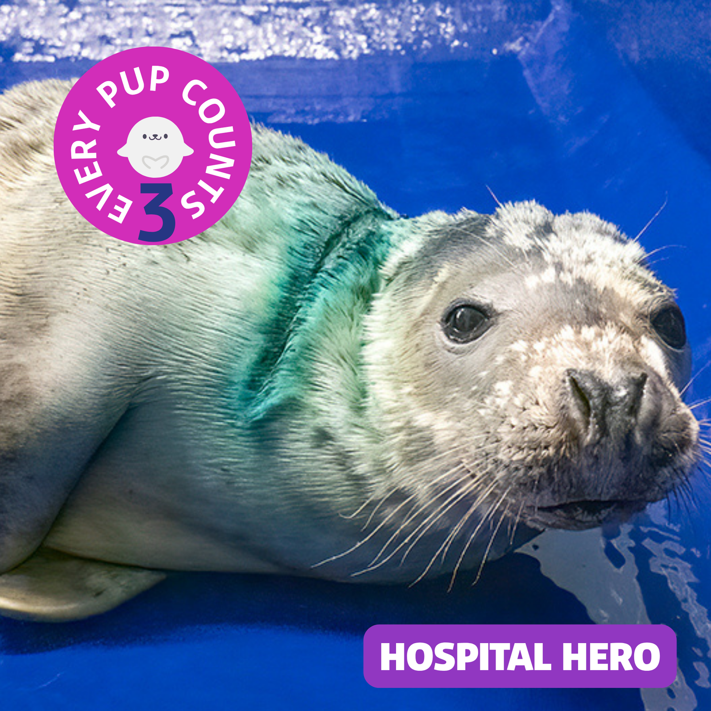 Hospital Hero