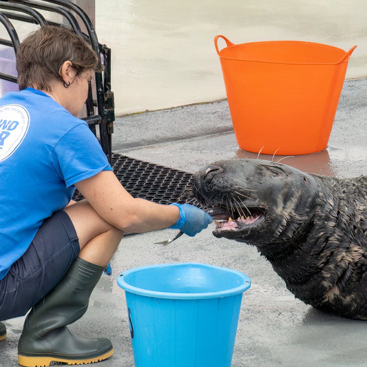 Keeper For The Day experience